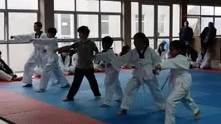 Examen paso de grado a punta amarilla