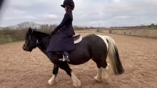 Georgia Senior Area 12 riding Bessie Junior Novice Equitation December 2025