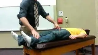 Passive Hip Range of Motion
