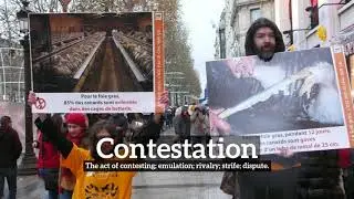 How Does Contestation Look? | What is Contestation? | How to Say Contestation in English?