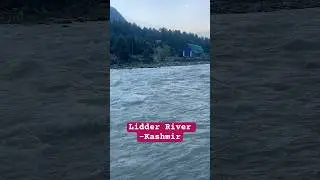 Lidder  river Kashmir | #lidderriver #trending #nature