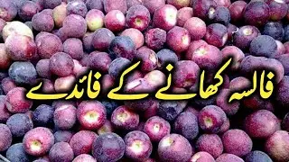 Falsa Ky Fayde | Phalsa Ke Faiday | Benefits Of Grewia| Heatlh Tips From Fruit