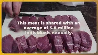 Wild Harvest Whitetail Facts 04