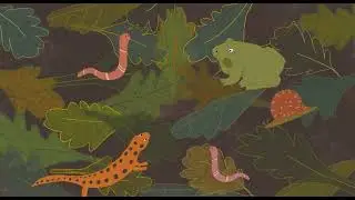 The Forest Cake (2025)