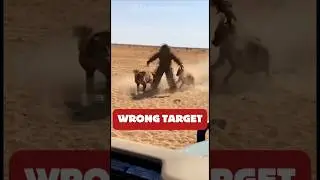 Hyenas Went Full Attack on a Man in Spiked Armor.                                       @Shorts