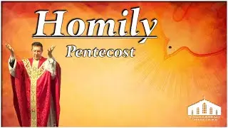 Homily: June 8, 2025 &bull; Pentecost