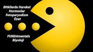 Bitkisel Hormonlar-Hareket- Beslenme-Fotoperyodizm Özet