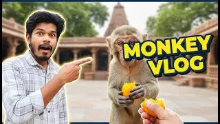 Modi Love Meloni 💖 | Beautiful Short😍 #ytshorts #Shorts #ViralShorts#ExploreShorts #modi #viralvideo