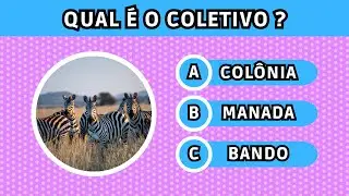 🦓 CONSEGUE ADIVINHAR O COLETIVO DESTES ANIMAIS? | Desafio de português #guessquiz