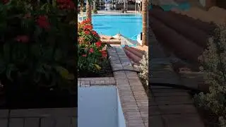 Синайский полуостров 2022 Ras Om El-Seid, South Sinai Governorate 46628, Египет