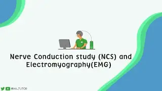 Nerve Conduction Study ( NCS) and Electromyography ( EMG)