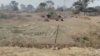 अपना गांव