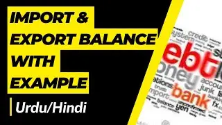 What is Import and Export Balance[With Examples]?