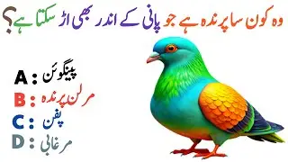 GK Video || GK Video In Urdu || GK Video Question And Answer|| GK Quiz || GK SHAKEEL