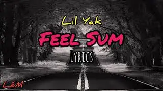 Lil Yak - Feel Sum(lyrics)