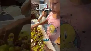 Grape Season!