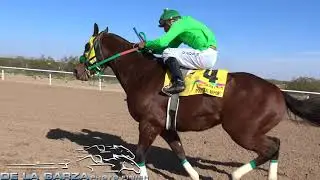 EL PEREZ VS LA GATA 300 YDS CARRIL CUARTO DE MILLA CLINT TEXAS 23 DE FEBRERO DEL 2020