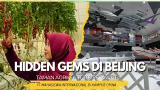 Beijing yang Gak Pernah Kamu Lihat: Ada Taman Rahasia & Museum Pesawat Raksasa!