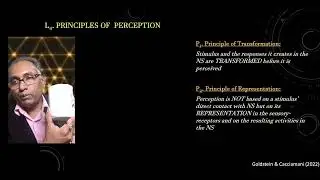 U1  Measuring Perceptual Processes