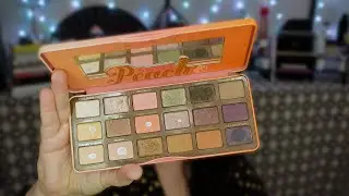 FINALLY some progress and a new strategy! 🍑 pan that palette 2024 update