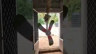 Clip electric table fan video #fans #shorts