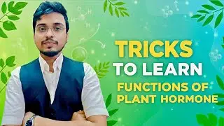 Functions of All Plant hormones with Easy Tricks 🌱  #biologyscience #biology  #exampreparation 