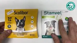 UNBOXING COLLAR SCALIBOR Y STANVET