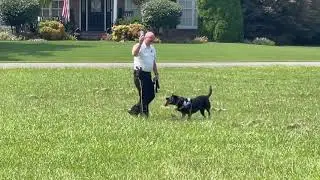 Odenville Police Chief Glenn Walton with Police Dog, Bella, on a drug find demonstration.