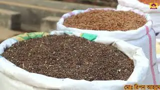 Миксер Бхуши, приготовленный из 30 ингредиентов, теперь доступен в Madaripur Kalkini...-01821-914...