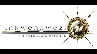 Inkwenkwezi Private Game Reserve, Umtiza Forest Walk, Episode 8