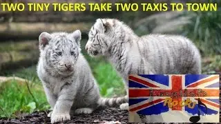 English Rocks - Tongue Twister: Two Tiny Tigers Take Two Taxis to Town