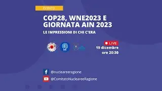 COP28, WNE2023 e GIORNATA AIN 2023 - Le impressioni di chi c'era