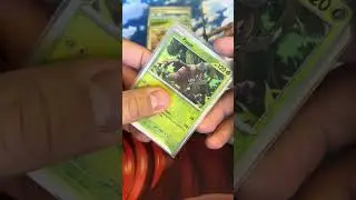 Massive Scarlet and Violet 151 Master Set Update! #pokemon #fyp #151 #pokemontcg #nintendo