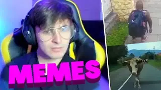 REGRESAN LOS MEMES
