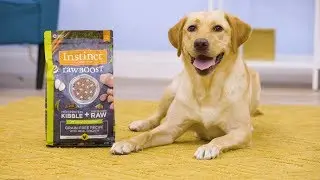 Instinct Raw Boost Dog Food | Chewy
