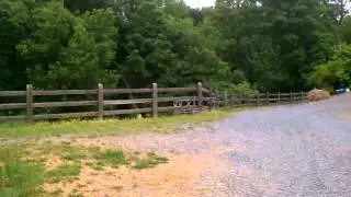 Fairmount GA