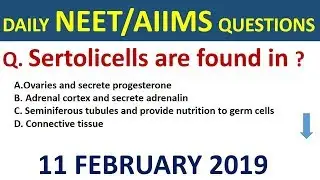 Daily NEET/AIIMS Important Questions 2019 in hindi  - neet important questions 2019 - AIIMS/JIPMER