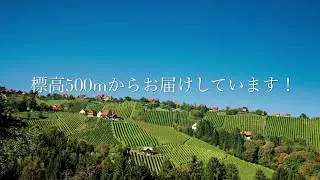 ラングマンさん おすすめ微発泡ロゼ 「シルカート」紹介