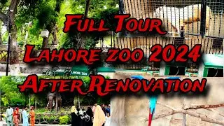 Full Tour Lahore Zoo 2024 | After Renovation | Zoo | Animals | Lion | Lahore |