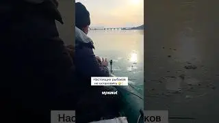 Ставь лайк 👍🏻😂 #рыбалка #рыбак #щука #судак #жерлицы #воблер #окунь #карп #карась #сом #ловлящуки
