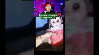 Не смотри это ночью&hellip;! ☠️ #заброшка #жуткая