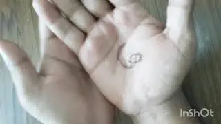 World's Smallest Snake ( Brahminy Blind Snake) .