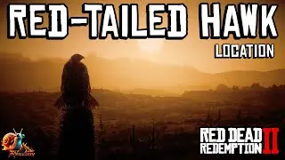 Red-Tailed Hawk Location - Red Dead Redemption 2
