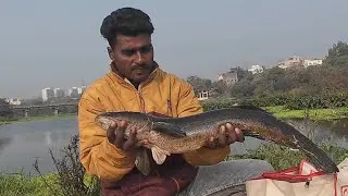  मरळ🐠पकडली एकदम मोठ्या साईजचे दुपारी भेटले रोहिदास ला भरपूर🤗सारे मासे एकमोठा कटला मासा🐠मच्छी मार्केट