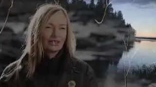 Flottledsåterställningen i Bureälven