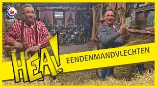 HEA! Eendenmandvlechtende broers