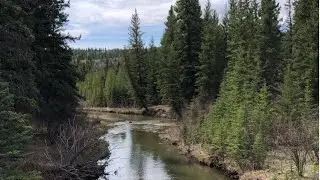 Fly Fishing Cypress Hills Saskatchewan