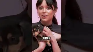 Jenna Ortega #celebrity #movie #celebrityinfluence #influencer #shortvideo #shorts