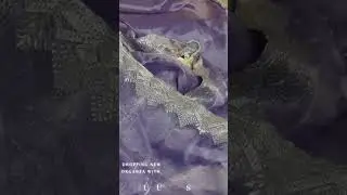 Lavender organza saree with stone work and silver zari word. DM us on Instagram for price details.