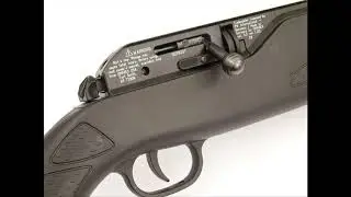 The 5 Best CO2 Air Rifles in 2020